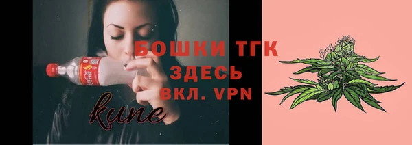 дживик Дмитров