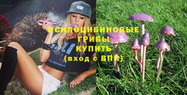 таблы Белокуриха