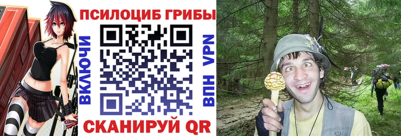 где найти   Можга  Псилоцибиновые грибы Psilocybe 